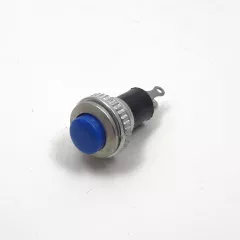 Кнопка круглая, 2pin, OFF-(ON), AC 220/250V 0.5A, d:10мм, корпус: синий (DS-316) -  0.5A - Радиомир Саратов