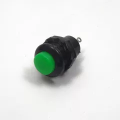 Кнопка круглая, 2pin, OFF-(ON), AC 220/250V 0.5A, d:16мм, корпус: зеленый (DS-313) -  0.5A - Радиомир Саратов