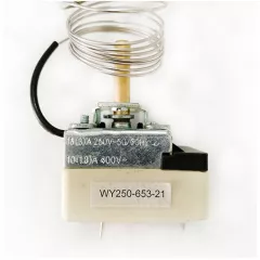Терморегулятор газовой плиты 2pin 50-250C ДАРИНА керамическая основа WY250-653-21, 2pin, L капилляра=100cm 50-250*С (Капиллярный термостат) 250VAC , 16A, без ручки со шкалой, без фланца - Терморегуляторы для газовых плит - Радиомир Саратов