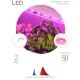 Подсветка набор: св/диодная лента ФИТО (красно-синий спектр)  2метра  IP65 12V 1400K (2835/60 LED) Ширина 8мм  с клеевым слоем;  Питание: 12V; Фотосинтетический фотонный поток 20,6мкмоль/с, Предназначен для подсветки растений - Фитолампы, ленты, светильники светодиодные - Радиомир Саратов