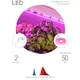 Подсветка набор: св/диодная лента ФИТО (красно-синий спектр)  2метра  IP65 12V 1400K (2835/60 LED) Ширина 8мм  с клеевым слоем;  Питание: 12V; Фотосинтетический фотонный поток 20,6мкмоль/с, Предназначен для подсветки растений - Фитолампы светодиодные - Радиомир Саратов