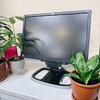 МОНИТОР LCD 22" HP L2208W Разрешение	1680x1050 (16:10) (Б/У) +Сетевой шнур Евровилка